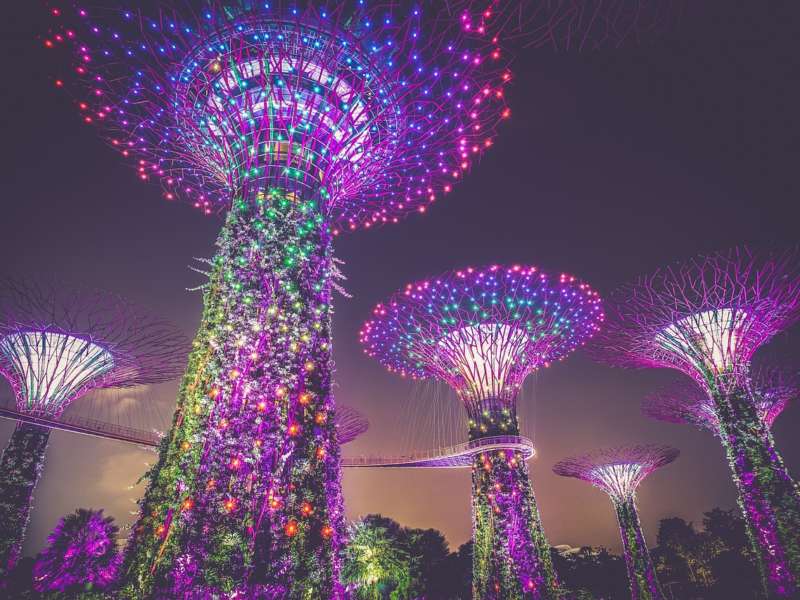 Il giardino della baia di Singapore