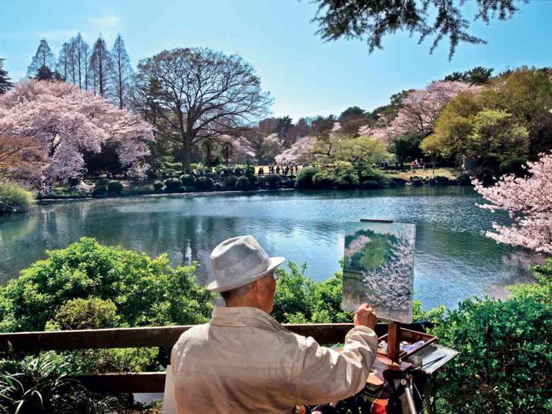 hanami-giappone