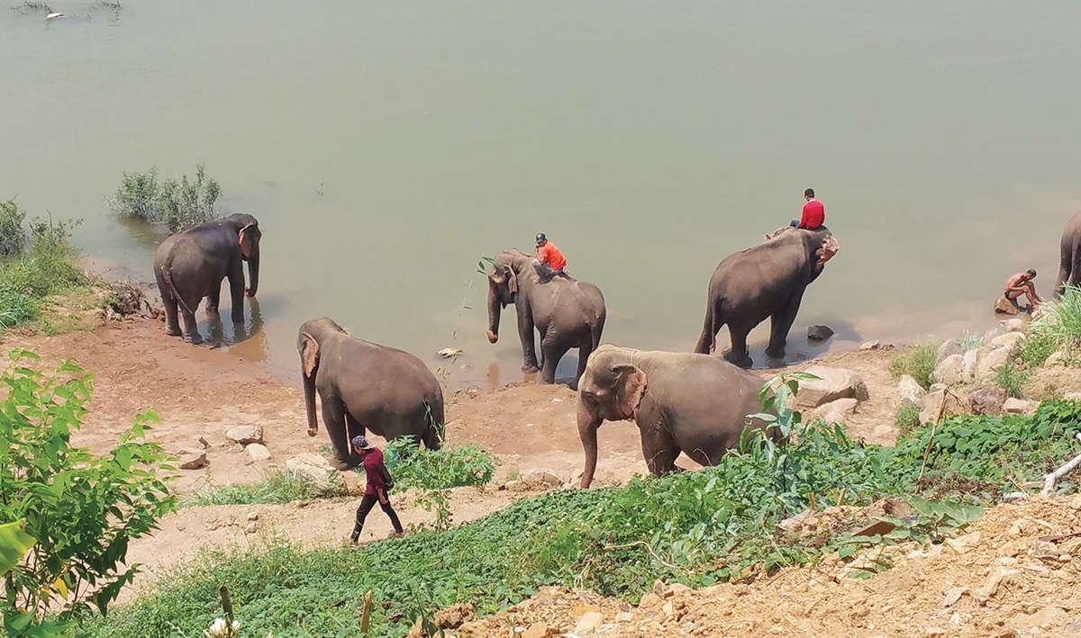 viaggio in laos