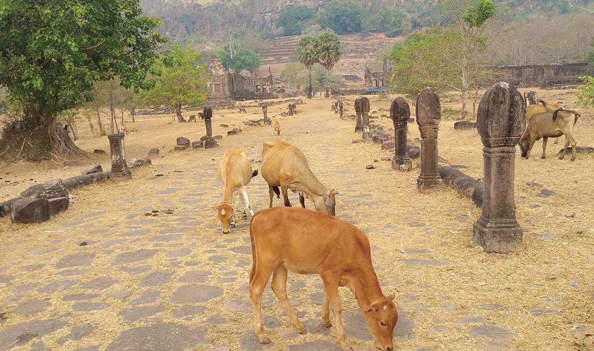 viaggio in laos