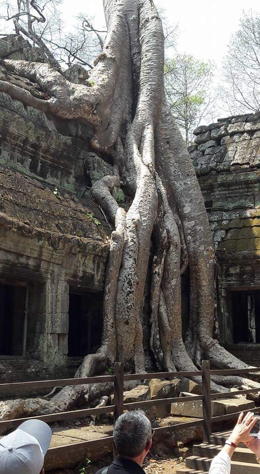 Ta Phrom