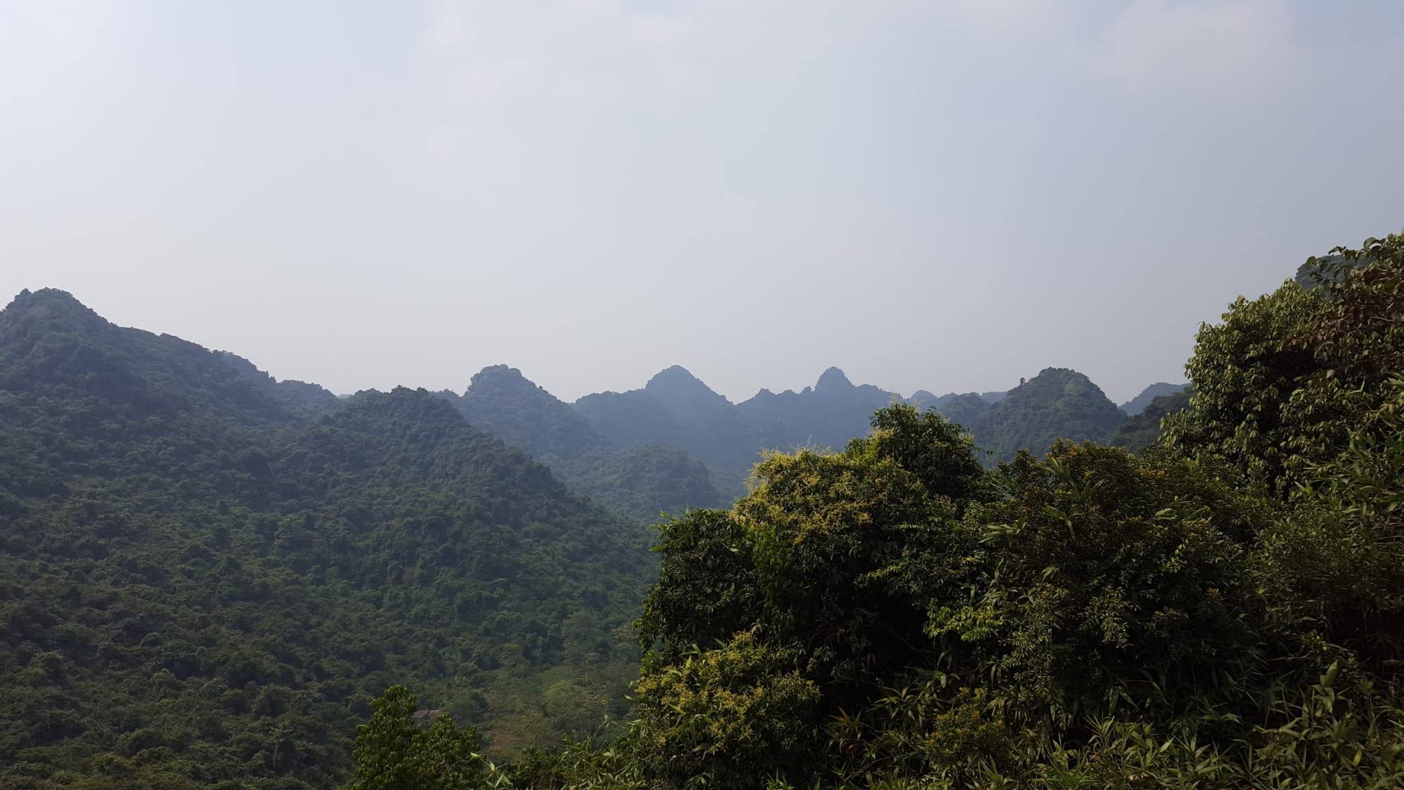 montagna dei profumi vietnam