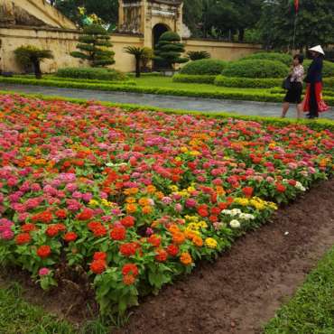 cittadella imperiale vietnam