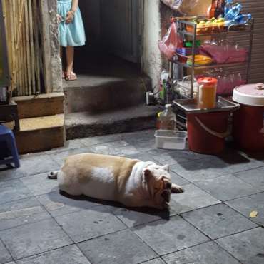 vecchio quartiere vietnam