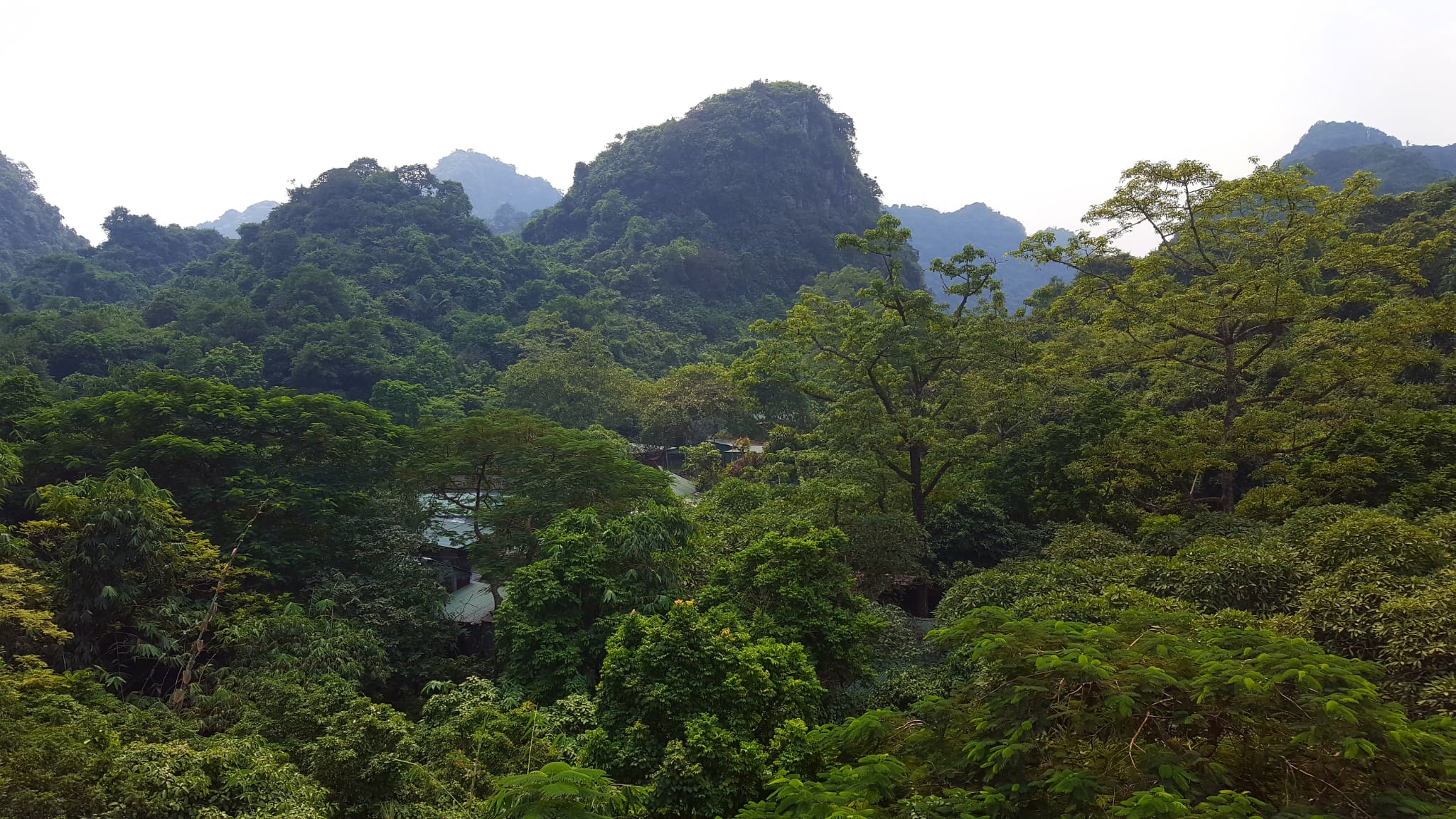 montagna dei profumi vietnam