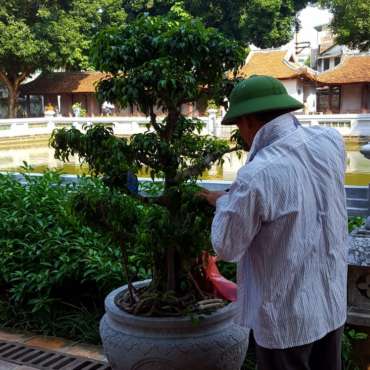 tempio letteratura vietnam