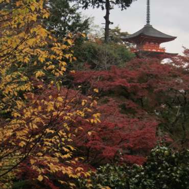 Kiyomizu-dera Temple.