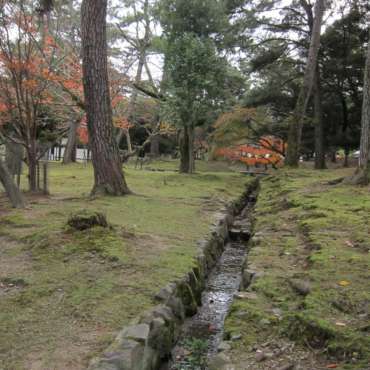 giardini di Yoshikien e di Isuien. 2