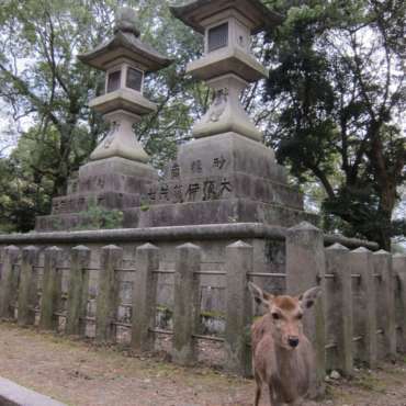 giardini di Yoshikien e di Isuien