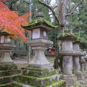 giardini di Yoshikien e di Isuien