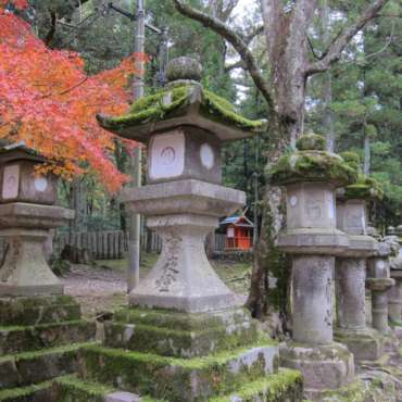 giardini di Yoshikien e di Isuien