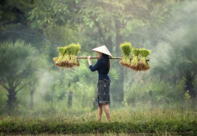 Viaggi su Misura 11 Vietnam e Cambogia 15 giorni12 notti Le Perle indocinesi 2