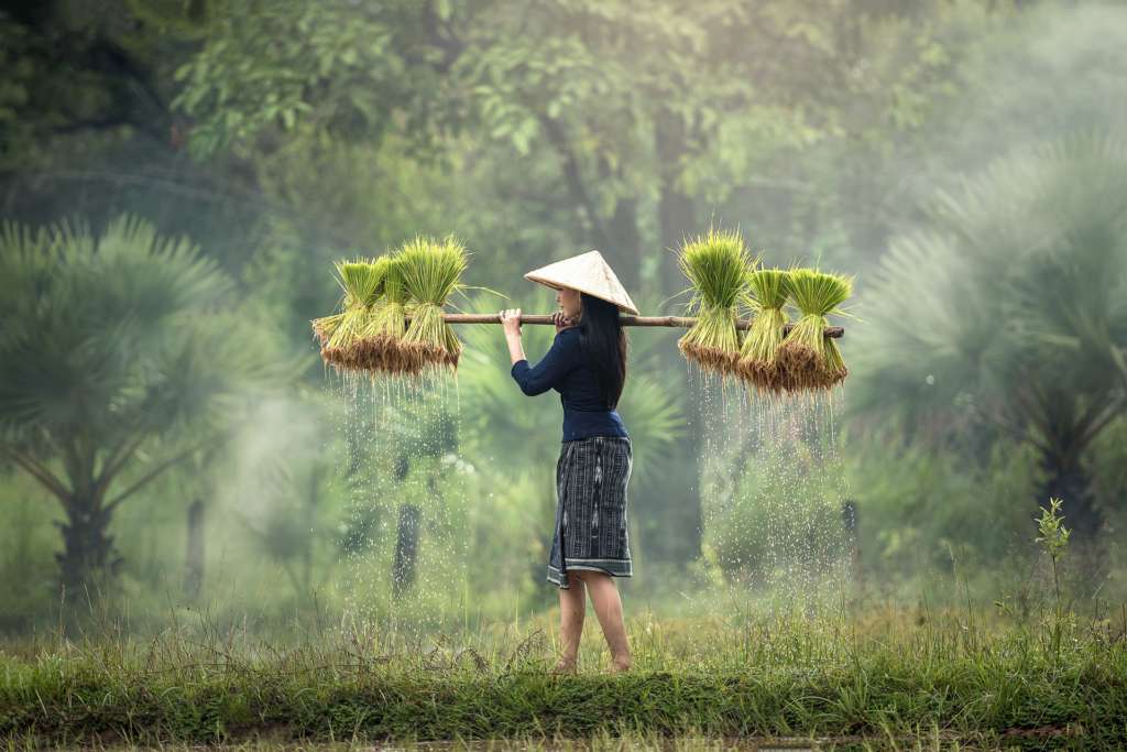 Viaggi su Misura 11 Vietnam e Cambogia 15 giorni12 notti Le Perle indocinesi 2