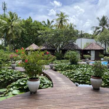 maldive-nika-island-resort-green