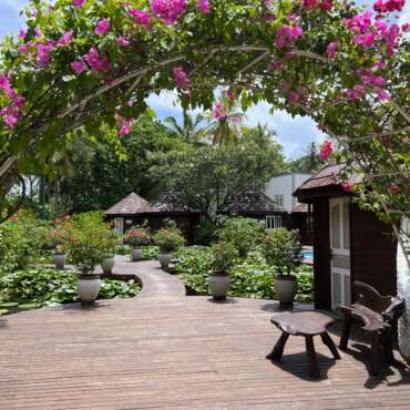 maldive-nika-island-resort-garden
