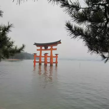 giappone-Miyajima-tori