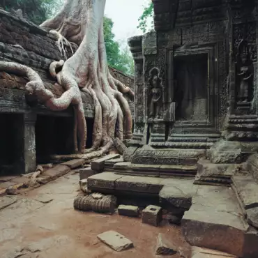 cambogia-siem-reap-tempio-Ta-Prohm