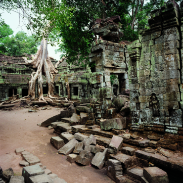 cambogia-siem-reap-tempio-Ta-Prohm-Angkor
