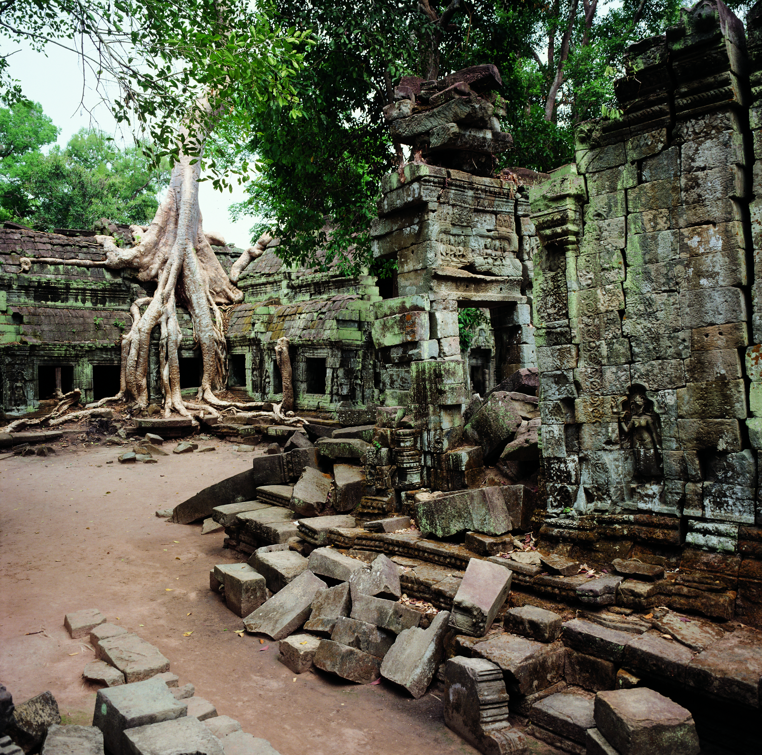 cambogia-siem-reap-tempio-Ta-Prohm-Angkor