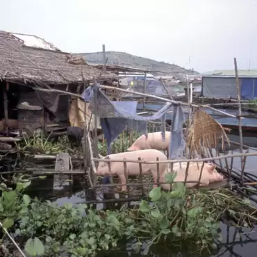 cambogia-tonle-sap-villaggio-galleggiante