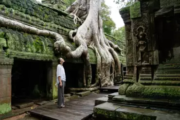 cambogia-siem-reap-angkor-Ta Prohm