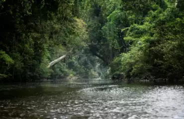Taman_Negara